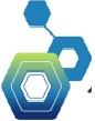 두리마을 Logo & CI